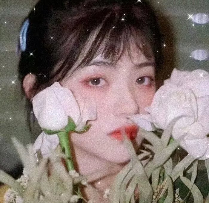 全家度蜜月